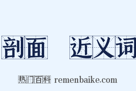 剖面圖近义词是什么意思的图片